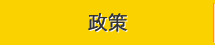 政策